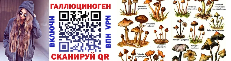 Галлюциногенные грибы мицелий  KRAKEN рабочий сайт  Поворино 